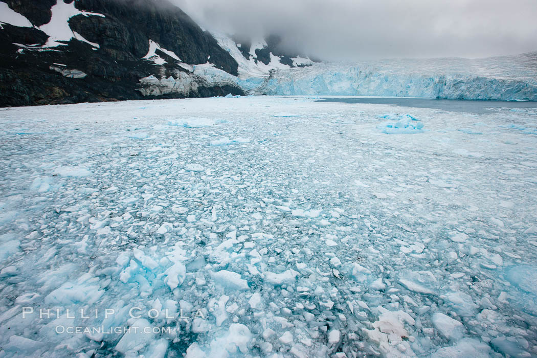 Drygalski Fjord, packed with brash ice which has broken away from the glacier at the end of the narrow fjord. South Georgia Island, natural history stock photograph, photo id 24741