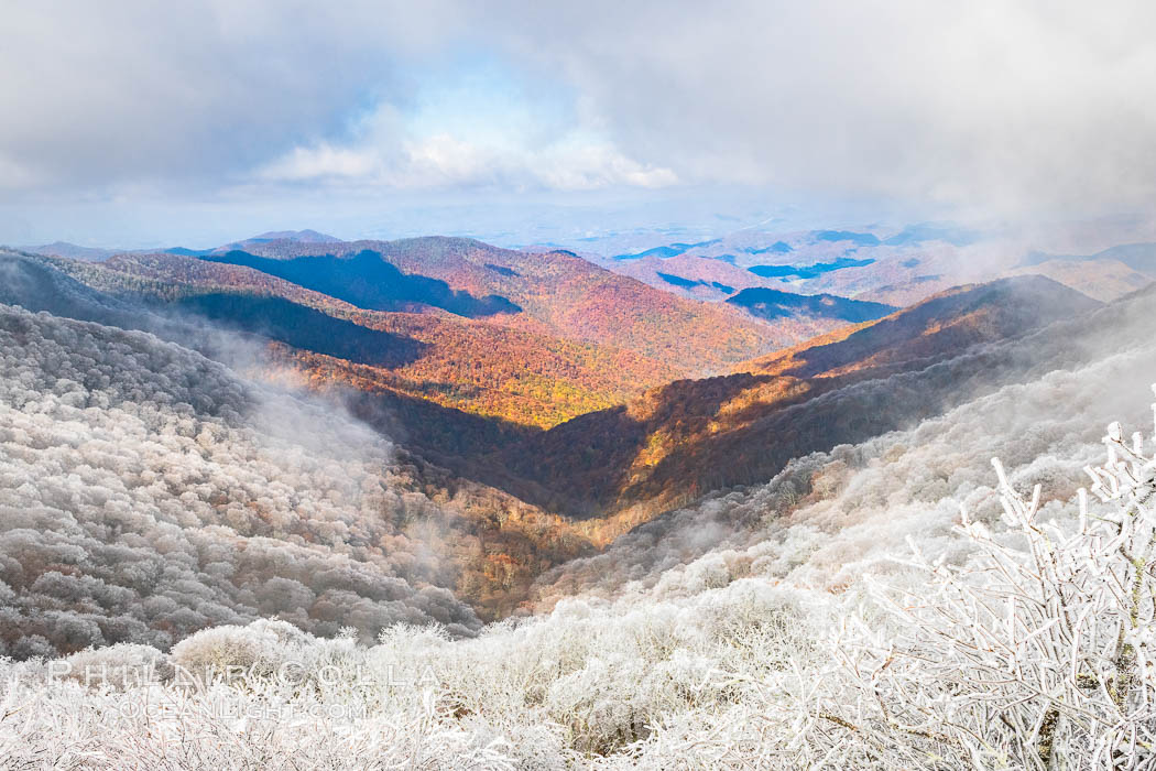 Early Snow and Late Blue Ridge Parkway Fall Colors, Asheville, North Carolina. USA, natural history stock photograph, photo id 34642