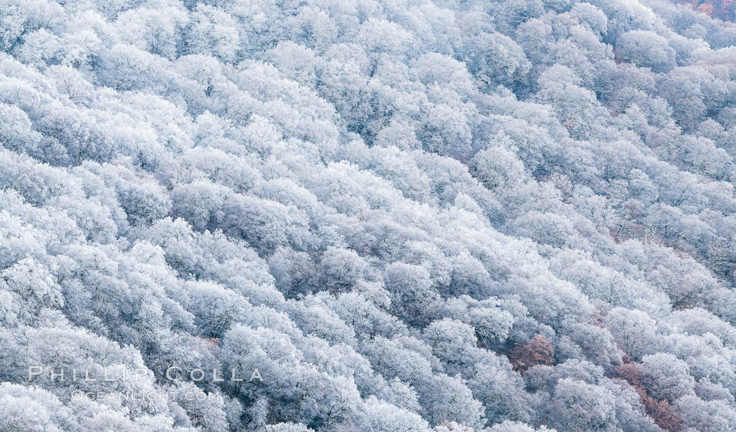 Early Snow and Late Blue Ridge Parkway Fall Colors, Asheville, North Carolina