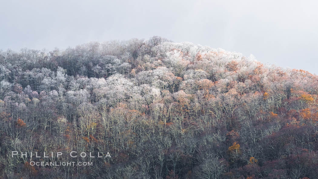 Early Snow and Late Blue Ridge Parkway Fall Colors, Asheville, North Carolina. USA, natural history stock photograph, photo id 34637