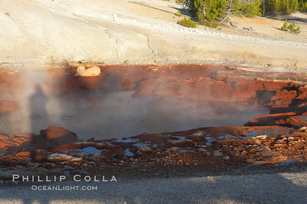 Echinus Geyser just after eruption, notice that its pool is much lowered. Norris Geyser Basin, Yellowstone National Park, Wyoming, USA, natural history stock photograph, photo id 13472