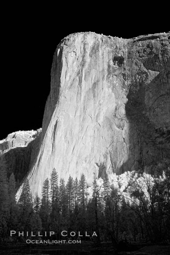 El Capitan eastern face, sunrise. Yosemite National Park, California, USA, natural history stock photograph, photo id 22770