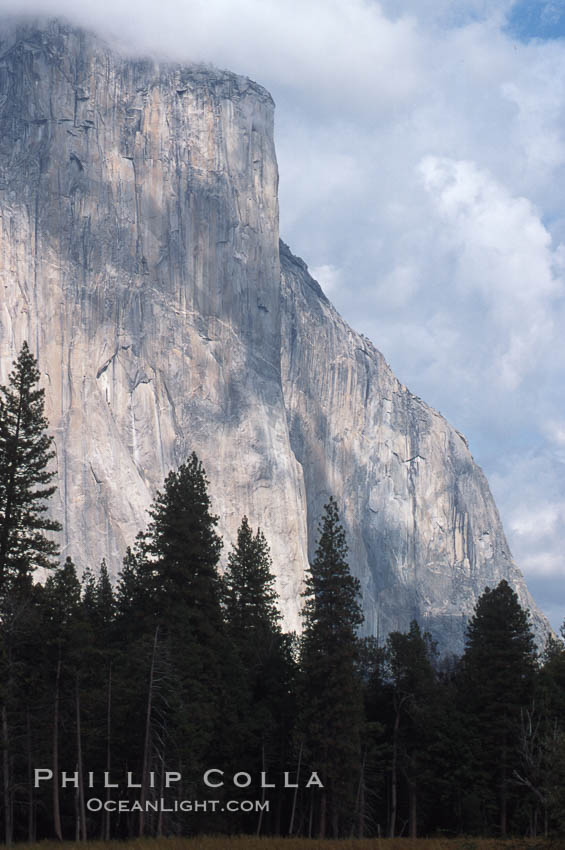 El Capitan. Yosemite National Park, California, USA, natural history stock photograph, photo id 05421