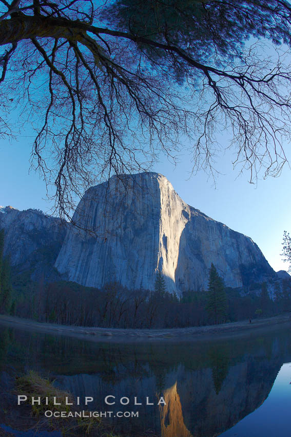 El Capitan and Merced River, sunrise. Yosemite National Park, California, USA, natural history stock photograph, photo id 22753