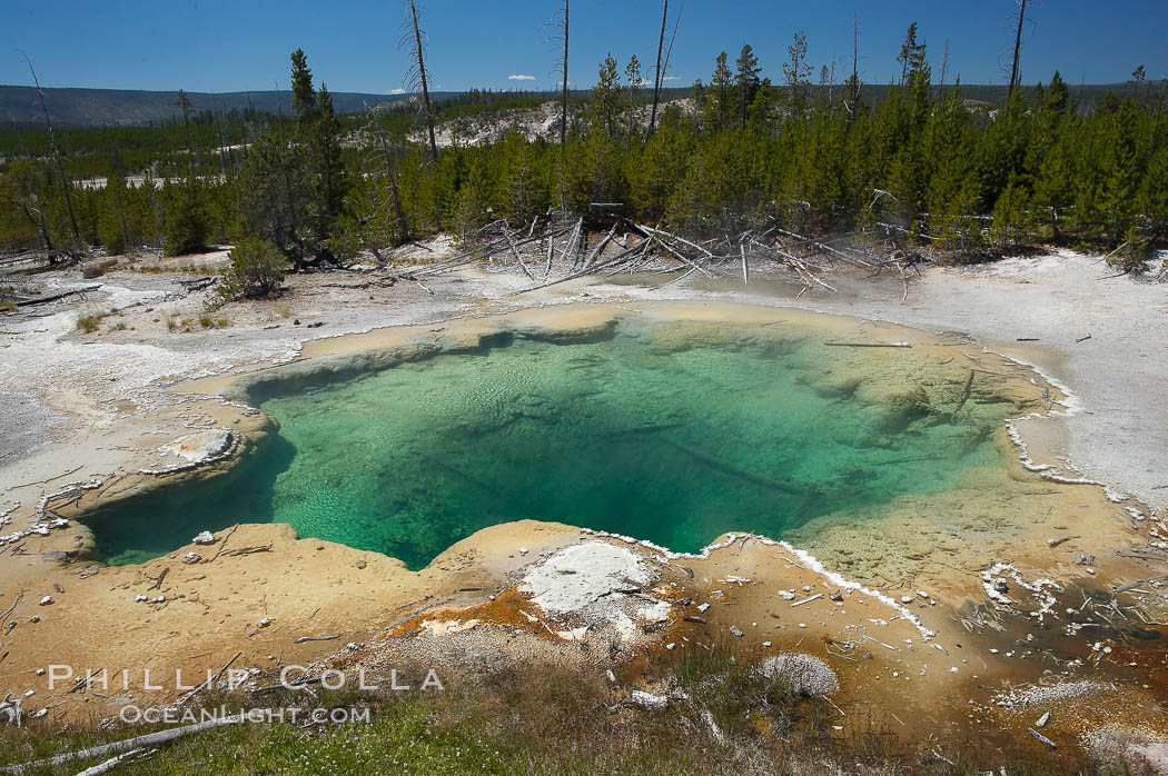 Emerald Spring, with its sulfur-lined sides, displays a deep green color, the result of its clear water (which would otherwise display as blue) and the deep yellow coloration of its sulfur lining. Norris Geyser Basin, Yellowstone National Park, Wyoming, USA, natural history stock photograph, photo id 13468