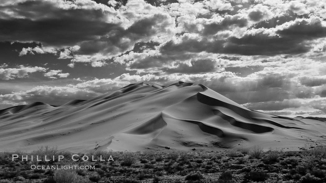 Eureka Dunes.  The Eureka Dunes are California's tallest sand dunes, and one of the tallest in the United States.  Rising 680' above the floor of the Eureka Valley, the Eureka sand dunes are home to several endangered species, as well as "singing sand" that makes strange sounds when it shifts. Death Valley National Park, USA, natural history stock photograph, photo id 25384