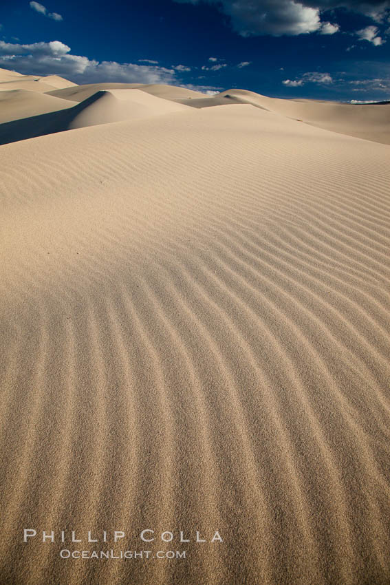 Eureka Dunes.  The Eureka Valley Sand Dunes are California's tallest sand dunes, and one of the tallest in the United States.  Rising 680' above the floor of the Eureka Valley, the Eureka sand dunes are home to several endangered species, as well as "singing sand" that makes strange sounds when it shifts.  Located in the remote northern portion of Death Valley National Park, the Eureka Dunes see very few visitors