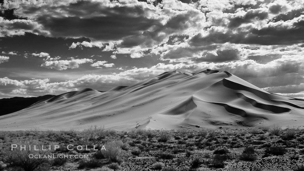 Eureka Dunes.  The Eureka Dunes are California's tallest sand dunes, and one of the tallest in the United States.  Rising 680' above the floor of the Eureka Valley, the Eureka sand dunes are home to several endangered species, as well as "singing sand" that makes strange sounds when it shifts, Death Valley National Park