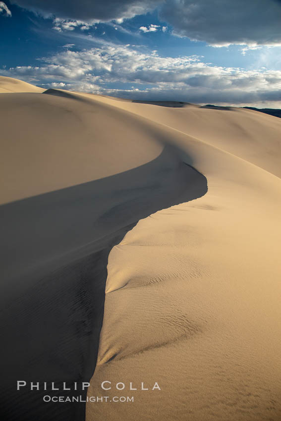 Eureka Dunes. The Eureka Valley Sand Dunes are California's tallest sand dunes, and one of the tallest in the United States. Rising 680' above the floor of the Eureka Valley, the Eureka sand dunes are home to several endangered species, as well as "singing sand" that makes strange sounds when it shifts. Located in the remote northern portion of Death Valley National Park, the Eureka Dunes see very few visitors