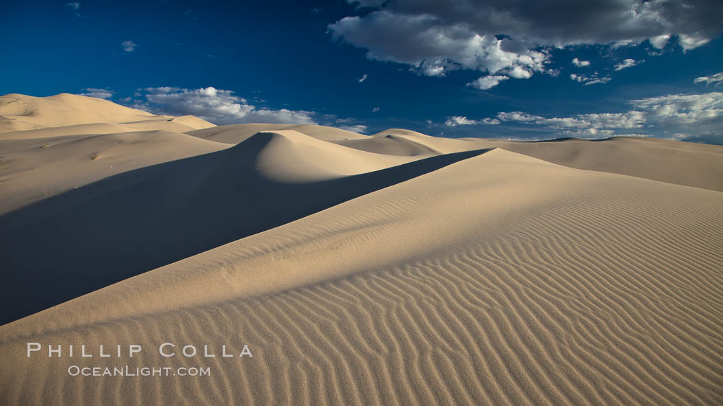 Eureka Dunes.  The Eureka Valley Sand Dunes are California's tallest sand dunes, and one of the tallest in the United States.  Rising 680' above the floor of the Eureka Valley, the Eureka sand dunes are home to several endangered species, as well as "singing sand" that makes strange sounds when it shifts.  Located in the remote northern portion of Death Valley National Park, the Eureka Dunes see very few visitors. USA, natural history stock photograph, photo id 25273