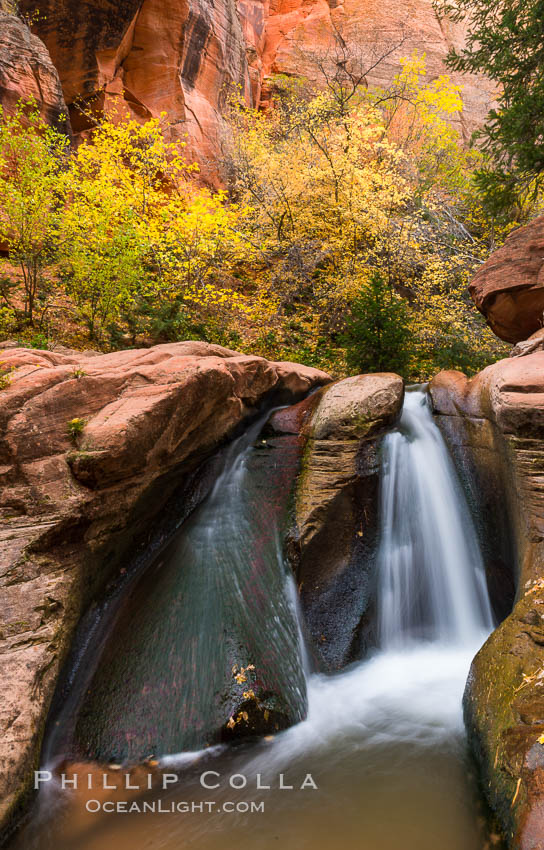 Fall Colors in Kanarra Creek Canyon, Utah. Kanarraville, USA, natural history stock photograph, photo id 32640