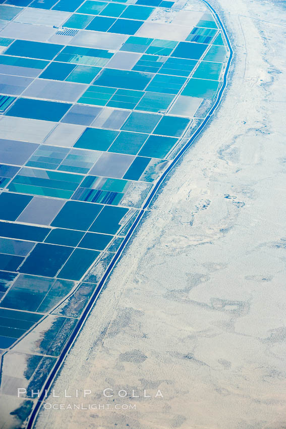 Farms meet desert south of the Salton Sea, near Brawley. California, USA, natural history stock photograph, photo id 22132