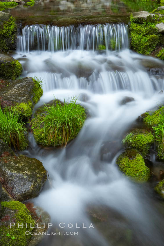 Fern Springs, a small natural spring in Yosemite Valley near the Pohono Bridge, trickles quietly over rocks as it flows into the Merced River, Yosemite National Park, California