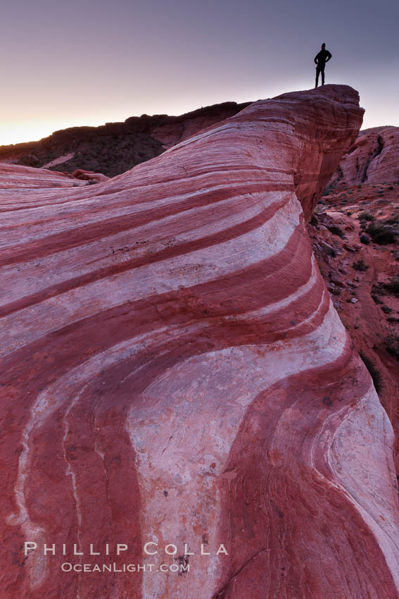 The Fire Wave, a beautiful sandstone formation exhibiting dramatic striations, striped layers in the geologic historical record. Valley of Fire State Park, Nevada, USA, natural history stock photograph, photo id 26500