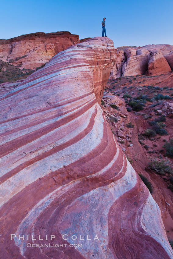 The Fire Wave, a uniquely striped sandstone formation in Valley of Fire State Park. Nevada, USA, natural history stock photograph, photo id 26632