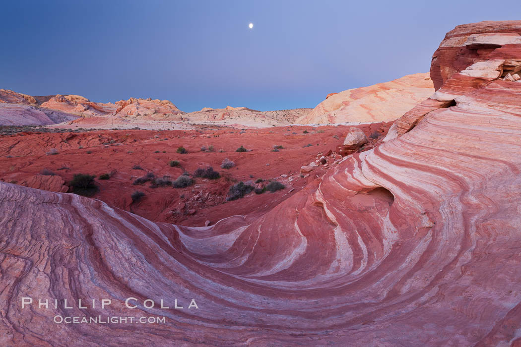 The Fire Wave, a beautiful sandstone formation exhibiting dramatic striations, striped layers in the geologic historical record. Valley of Fire State Park, Nevada, USA, natural history stock photograph, photo id 26497