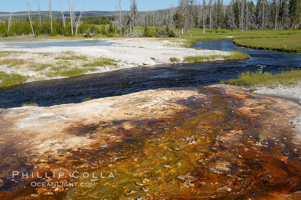 Iron Spring Creek flows in front of Green Spring. Black Sand Basin, Yellowstone National Park, Wyoming, USA, natural history stock photograph, photo id 13513