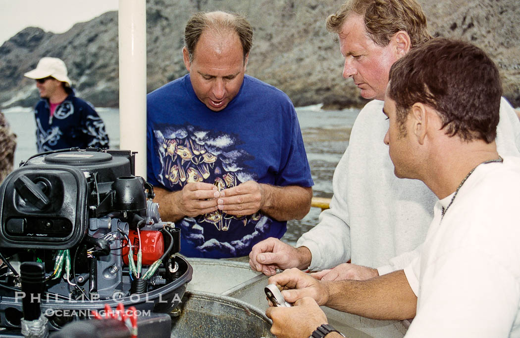 Fixing the outboard on our zodiac, Guadalupe Island, Mexico., natural history stock photograph, photo id 36225