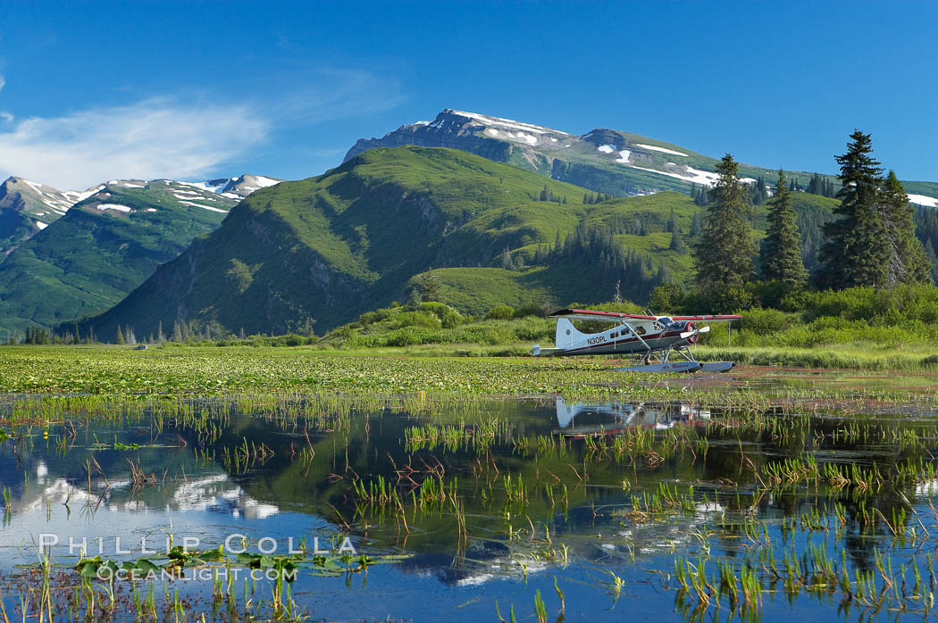 Float plane, water lilies and pond lie beneath the Chigmit Range near Silver Salmon Creek. Lake Clark National Park, Alaska, USA, natural history stock photograph, photo id 19092