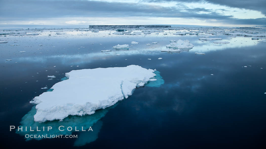 Floating ice and glassy water. Paulet Island, Antarctic Peninsula, Antarctica, natural history stock photograph, photo id 24823