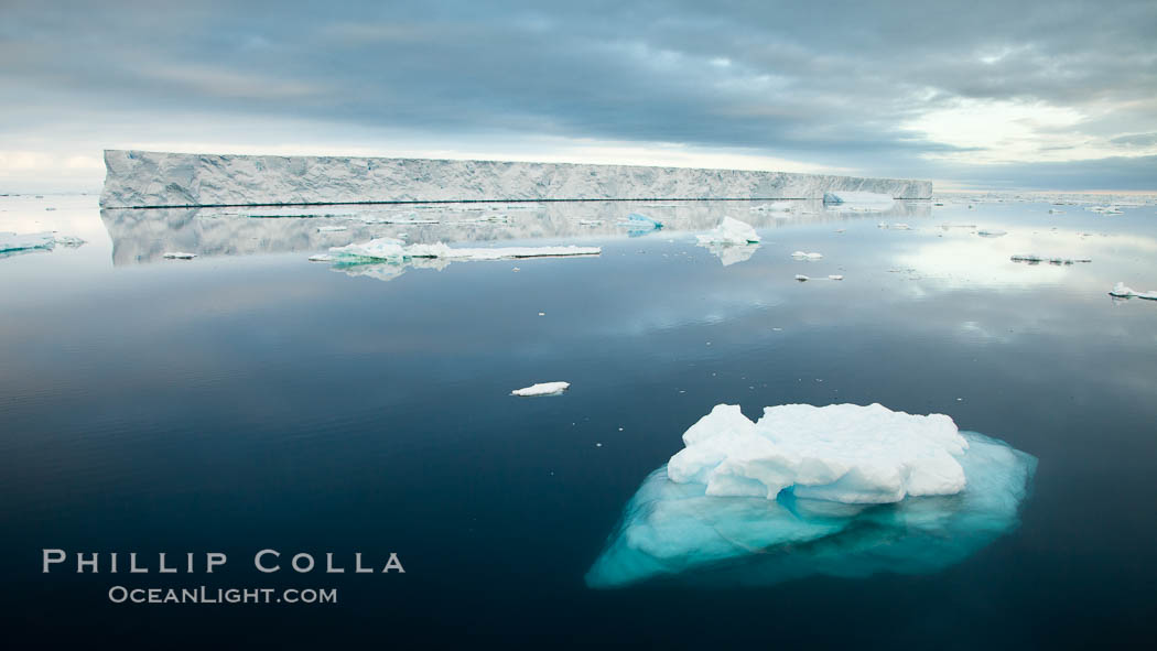 Floating ice and glassy water. Paulet Island, Antarctic Peninsula, Antarctica, natural history stock photograph, photo id 24889