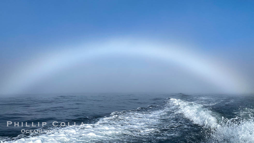 A fog bow, sometimes called a white rainbow, is a similar phenomenon to a rainbow; however, as its name suggests, it appears as a bow in fog rather than rain. Coronado Islands (Islas Coronado), Baja California, Mexico, natural history stock photograph, photo id 38578