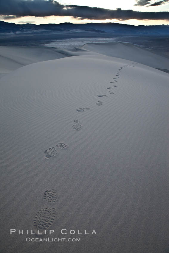 Footprints in the sand, Eureka Dunes.  The Eureka Valley Sand Dunes are California's tallest sand dunes, and one of the tallest in the United States.  Rising 680' above the floor of the Eureka Valley, the Eureka sand dunes are home to several endangered species, as well as "singing sand" that makes strange sounds when it shifts.  Located in the remote northern portion of Death Valley National Park, the Eureka Dunes see very few visitors. USA, natural history stock photograph, photo id 25271