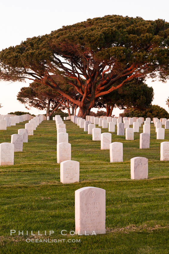 Fort Rosecrans National Cemetery. San Diego, California, USA, natural history stock photograph, photo id 26584