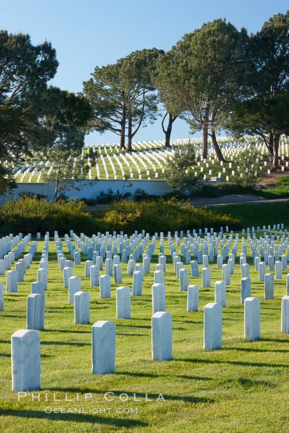 Fort Rosecrans National Cemetery. San Diego, California, USA, natural history stock photograph, photo id 26596