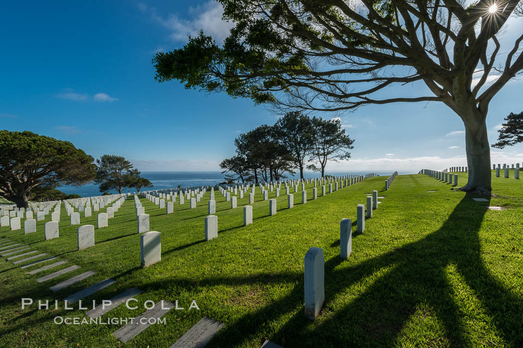 Fort Rosecrans National Cemetery. San Diego, California, USA, natural history stock photograph, photo id 27883