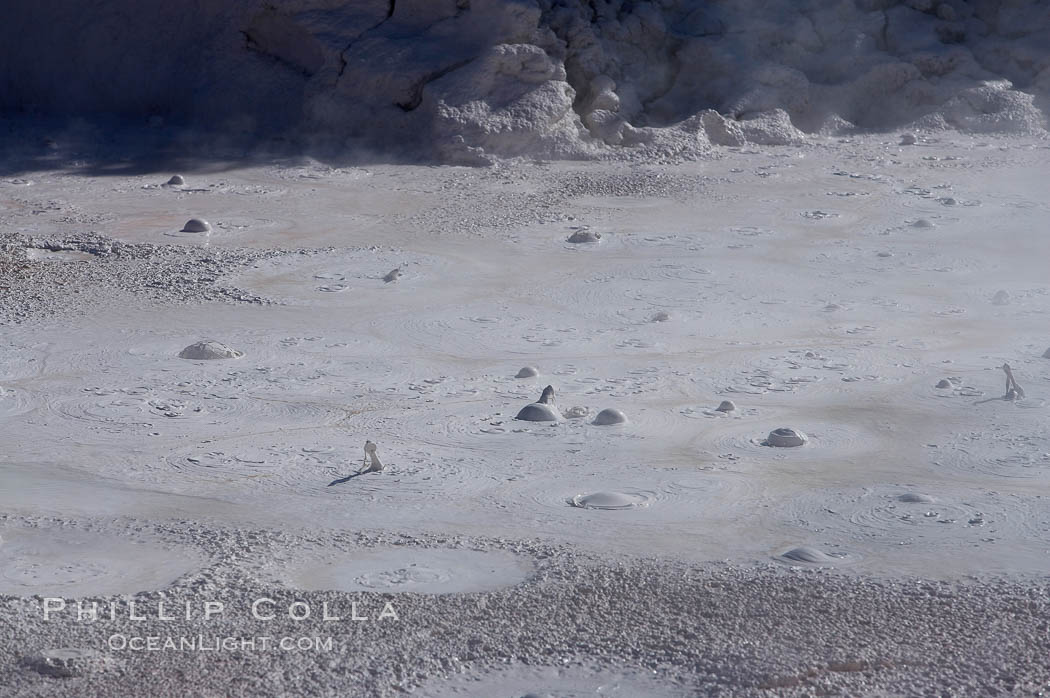 Fountain Paint Pot, a mud pot, boils and bubbles continuously.  It is composed of clay and fine silica.  Lower Geyser Basin. Yellowstone National Park, Wyoming, USA, natural history stock photograph, photo id 13530