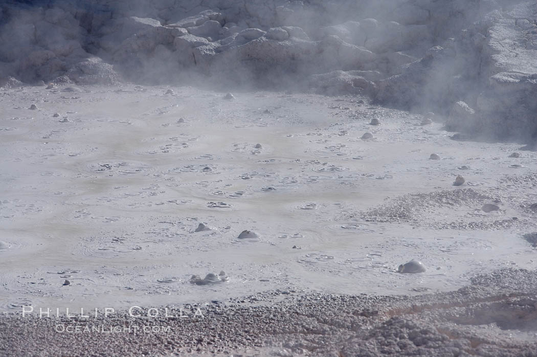 Fountain Paint Pot, a mud pot, boils and bubbles continuously.  It is composed of clay and fine silica.  Lower Geyser Basin. Yellowstone National Park, Wyoming, USA, natural history stock photograph, photo id 13531