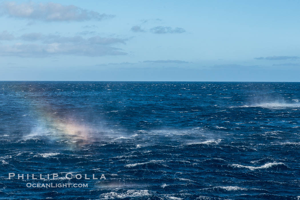 Gale winds, rainbow forms in sea smoke., natural history stock photograph, photo id 28773