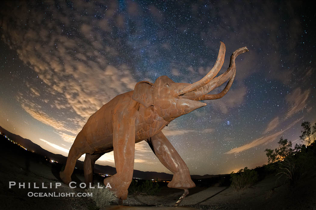 Mammoth art sculpture, by Ricardo Breceda, at night under the stars in Galleta Meadows., natural history stock photograph, photo id 28812