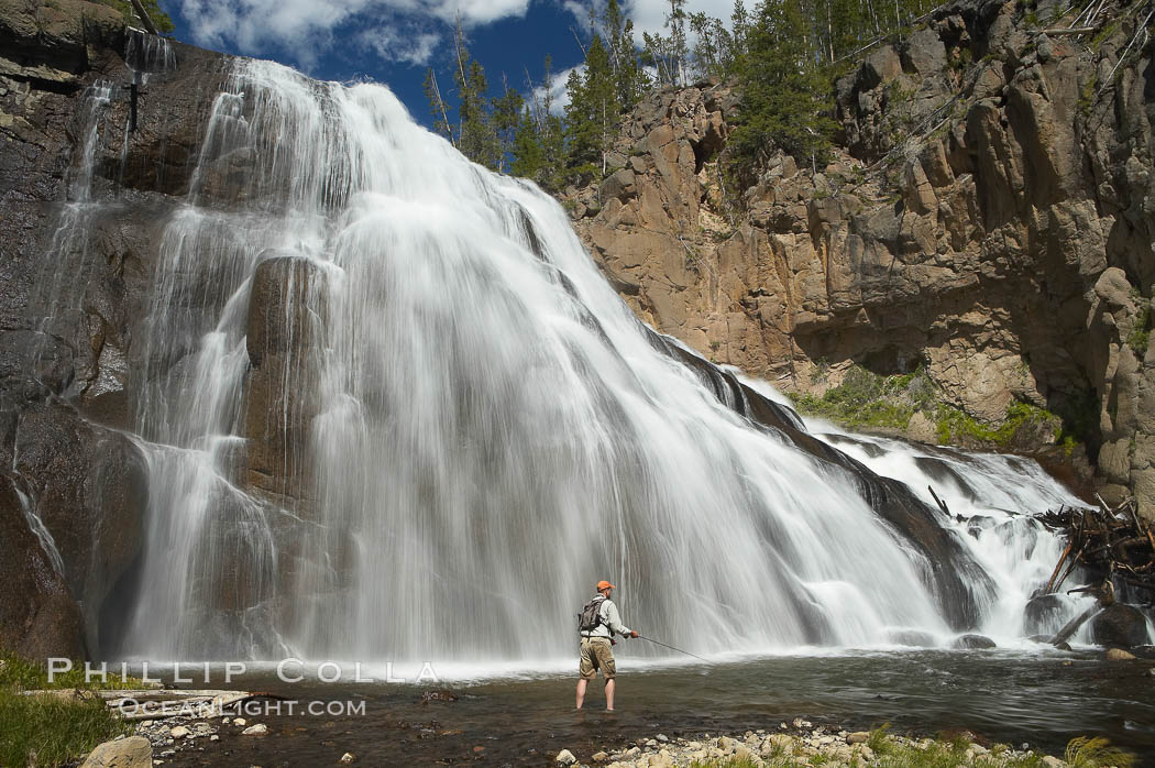 Fly fishing below Gibbon Falls. This flyfisherman hiked up the Gibbon River to reach the foot of Gibbon Falls. Yellowstone National Park, Wyoming, USA, natural history stock photograph, photo id 13275