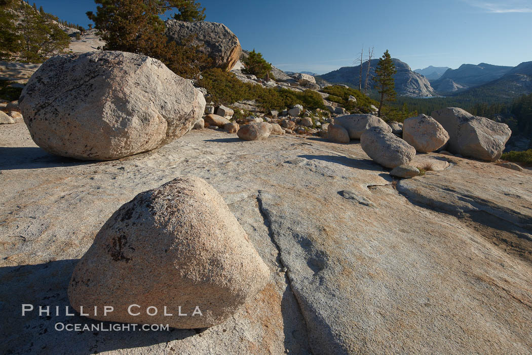 Glacial erratic boulders atop Olmsted Point. Erratics are huge boulders left behind by the passing of glaciers which carved the granite surroundings into their present-day form.  When the glaciers melt, any boulders and other geologic material that it was carrying are left in place, sometimes many miles from their original location. Yosemite National Park, California, USA, natural history stock photograph, photo id 23279