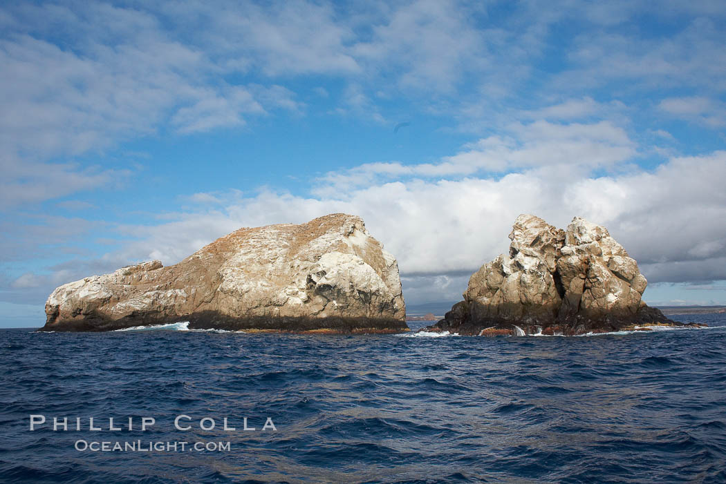 Gordon Rocks, a spectacular dive site near South Plaza Island. Galapagos Islands, Ecuador, natural history stock photograph, photo id 16646