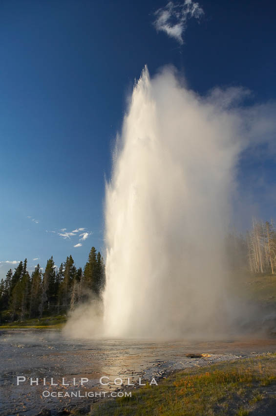 Grand Geyser erupts at sunset. Grand Geyser is a fountain-type geyser reaching 200 feet in height and lasting up to 12 minutes.  Grand Geyser is considered the tallest predictable geyser in the world, erupting about every 12 hours.  It is often accompanied by burst or eruptions from Vent Geyser and Turban Geyser just to its left.  Upper Geyser Basin. Yellowstone National Park, Wyoming, USA, natural history stock photograph, photo id 13446