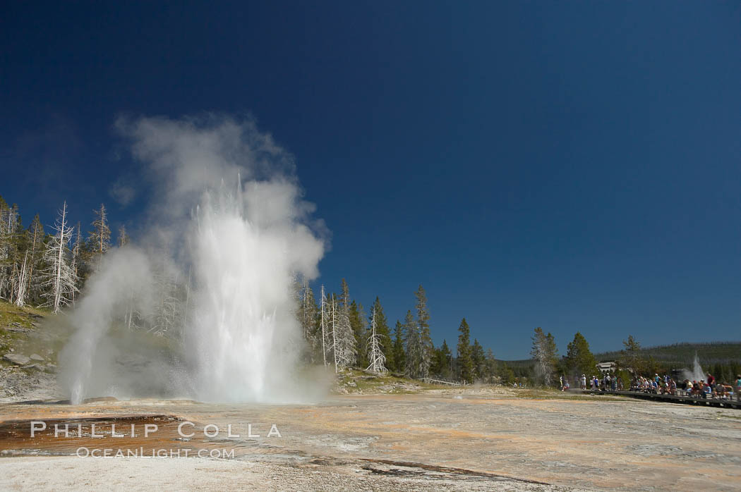 A crowd admires a simultaneous eruption of Grand Geyser (right) with Vent Geyser (left).  Grand Geyser is a fountain-type geyser reaching 200 feet in height and lasting up to 12 minutes.  Grand Geyser is considered the tallest predictable geyser in the world, erupting about every 12 hours.  It is often accompanied by burst or eruptions from Vent Geyser and Turban Geyser just to its left.  Upper Geyser Basin. Yellowstone National Park, Wyoming, USA, natural history stock photograph, photo id 13454