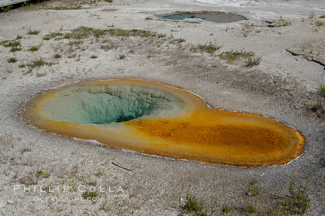 Belgian Spring, near the Grand Group. Upper Geyser Basin, Yellowstone National Park, Wyoming, USA, natural history stock photograph, photo id 13462