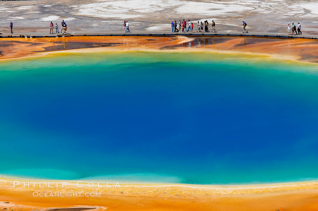 Grand Prismatic Spring displays a stunning rainbow of colors created by species of thermophilac (heat-loving) bacteria that thrive in narrow temperature ranges. The blue water in the center is too hot to support any bacterial life, while the outer orange rings are the coolest water. Grand Prismatic Spring is the largest spring in the United States and the third-largest in the world. Midway Geyser Basin, Yellowstone National Park, Wyoming