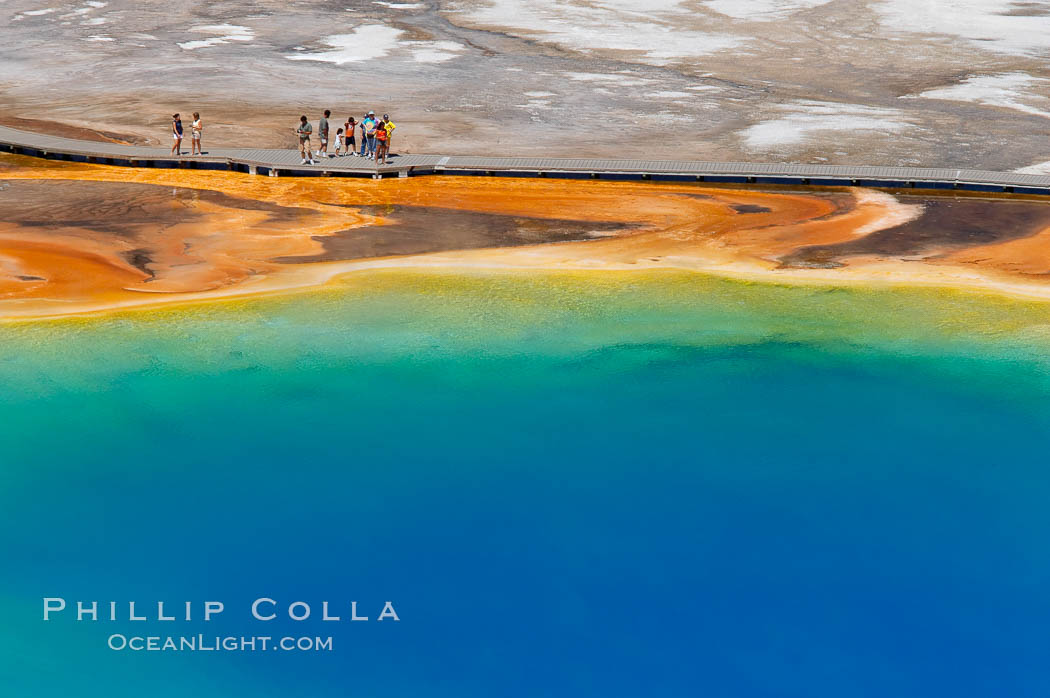 Grand Prismatic Spring displays a stunning rainbow of colors created by species of thermophilac (heat-loving) bacteria that thrive in narrow temperature ranges.  The blue water in the center is too hot to support any bacterial life, while the outer orange rings are the coolest water.  Grand Prismatic Spring is the largest spring in the United States and the third-largest in the world.  Midway Geyser Basin. Yellowstone National Park, Wyoming, USA, natural history stock photograph, photo id 13584