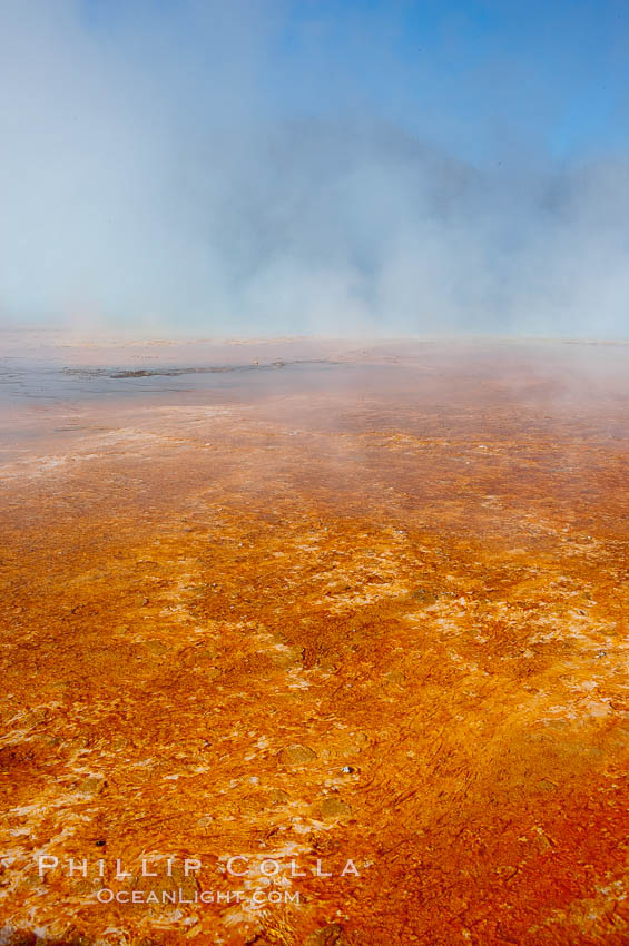 Grand Prismatic Spring displays brilliant colors along its edges, created by species of thermophilac (heat-loving) bacteria that thrive in narrow temperature ranges.  The outer orange and red regions are the coolest water in the spring, where the overflow runs off.  Midway Geyser Basin. Yellowstone National Park, Wyoming, USA, natural history stock photograph, photo id 13592