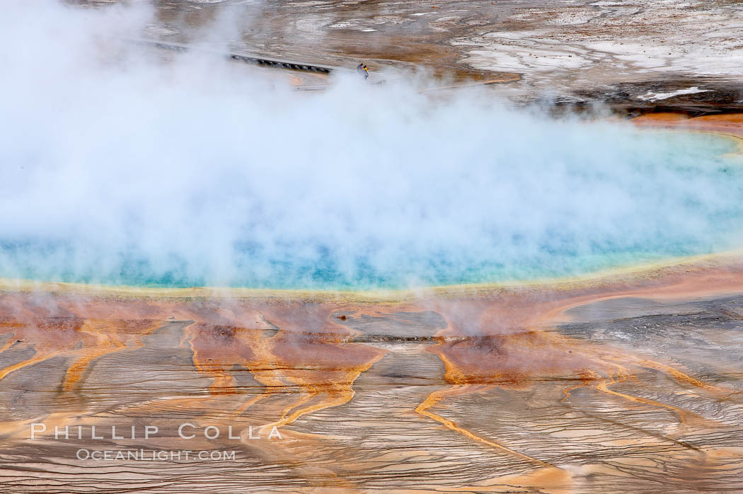 Grand Prismatic Spring steams in cold winter air. Midway Geyser Basin, Yellowstone National Park, Wyoming, USA, natural history stock photograph, photo id 19595