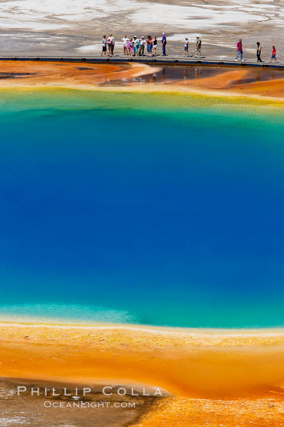 Grand Prismatic Spring displays a stunning rainbow of colors created by species of thermophilac (heat-loving) bacteria that thrive in narrow temperature ranges. The blue water in the center is too hot to support any bacterial life, while the outer orange rings are the coolest water. Grand Prismatic Spring is the largest spring in the United States and the third-largest in the world. Midway Geyser Basin, Yellowstone National Park, Wyoming