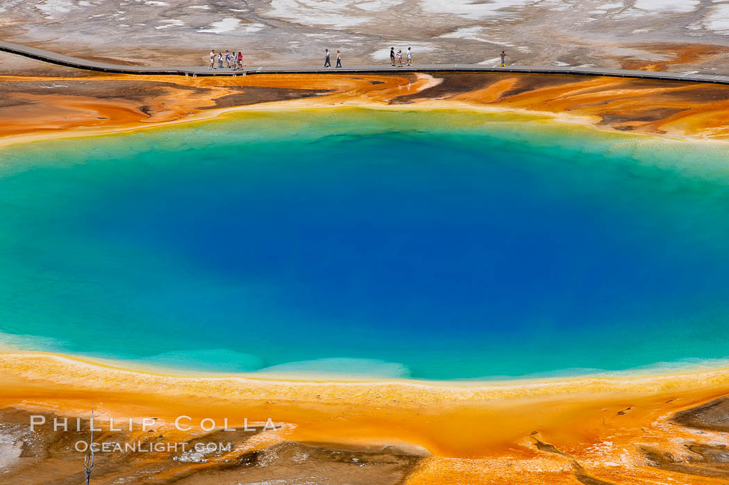 Grand Prismatic Spring displays a stunning rainbow of colors created by species of thermophilac (heat-loving) bacteria that thrive in narrow temperature ranges.  The blue water in the center is too hot to support any bacterial life, while the outer orange rings are the coolest water.  Grand Prismatic Spring is the largest spring in the United States and the third-largest in the world.  Midway Geyser Basin. Yellowstone National Park, Wyoming, USA, natural history stock photograph, photo id 13577