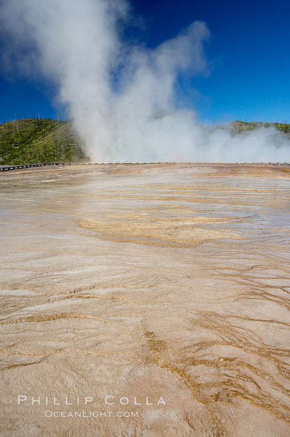 Grand Prismatic Spring displays brilliant colors along its edges, created by species of thermophilac (heat-loving) bacteria that thrive in narrow temperature ranges.  The outer orange and red regions are the coolest water in the spring, where the overflow runs off.  Midway Geyser Basin. Yellowstone National Park, Wyoming, USA, natural history stock photograph, photo id 13589