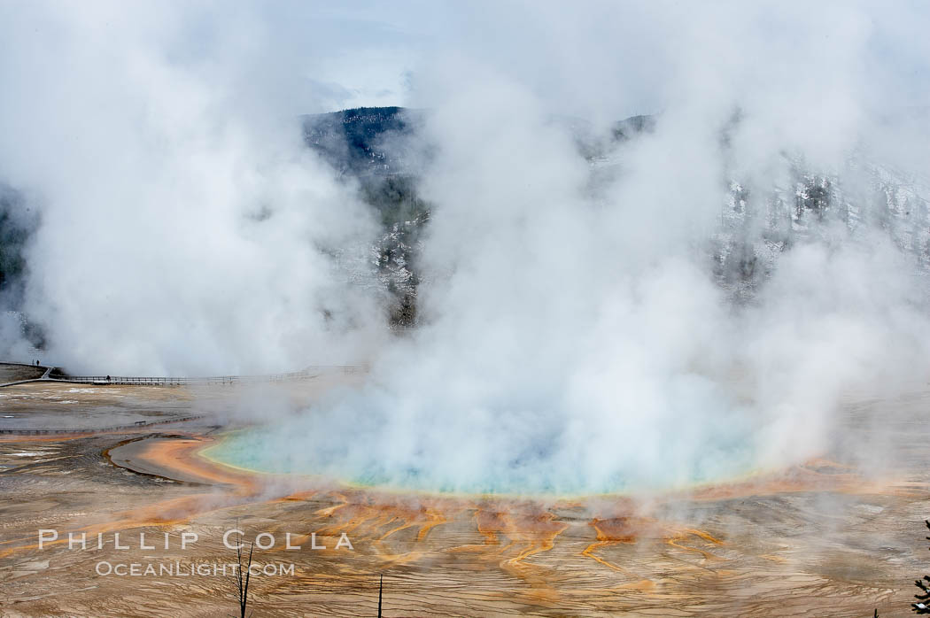 Grand Prismatic Spring steams in cold winter air, Midway Geyser Basin, Yellowstone National Park, Wyoming