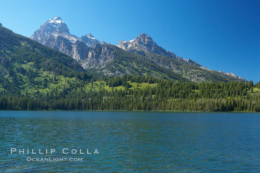 The Teton Range rises above Taggart Lake. Grand Teton National Park, Wyoming, USA, natural history stock photograph, photo id 13018