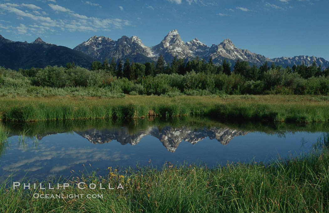 The Teton Range is reflected in a calm sidewater of the Snake River near Blacktail Ponds, summer. Grand Teton National Park, Wyoming, USA, natural history stock photograph, photo id 07382